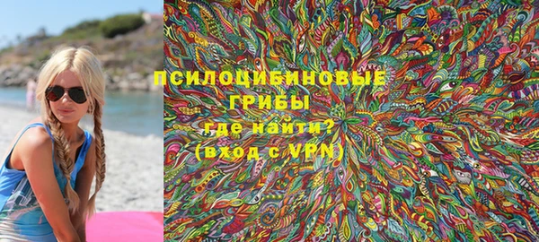 спайс Богородск