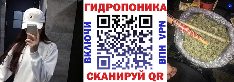 хочу наркоту Кимовск Бошки марихуана сатива